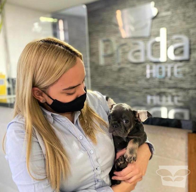 Hotel Prada Sas Бейо Екстериор снимка
